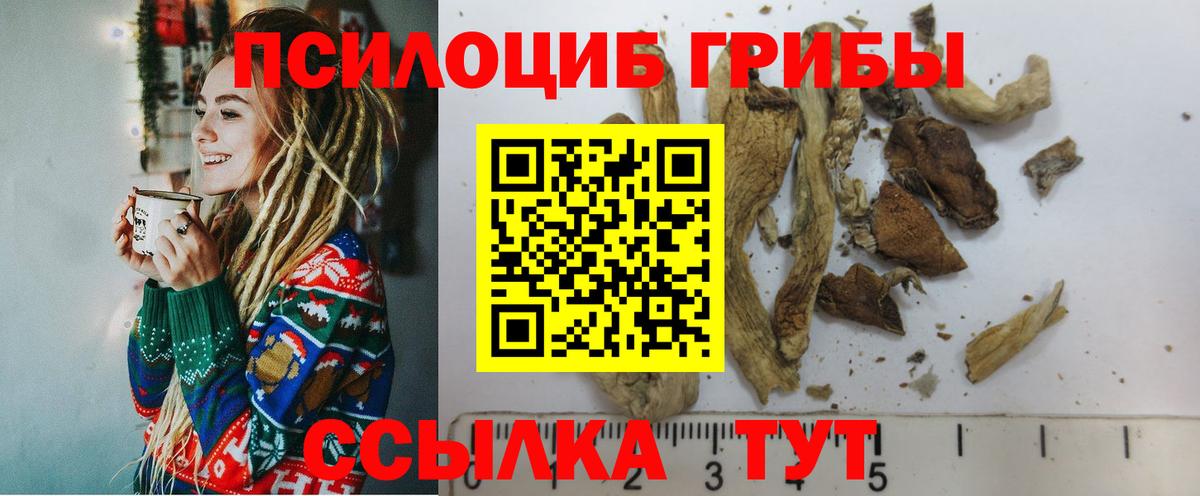 Сосновоборск  Галлюциногенные грибы Magic Shrooms  Вход с VPN 